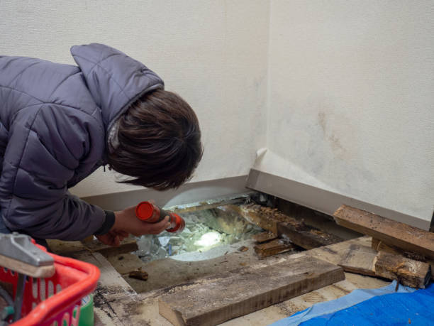 Best Environmental Consulting for Mold Prevention  in Moriches, NY