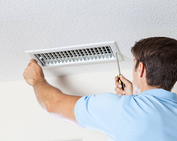 Moriches, NY Mold Removal Company