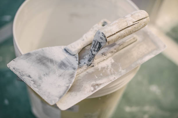 Best Mold Remediation for Healthcare Facilities  in Moriches, NY